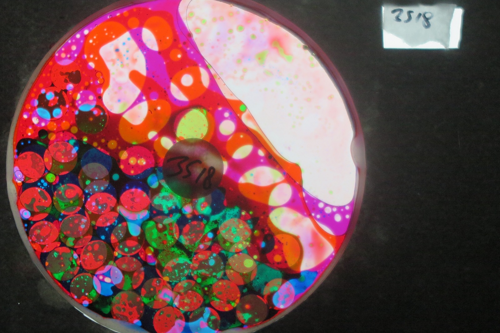 BV3518 bubble vision oil wheel